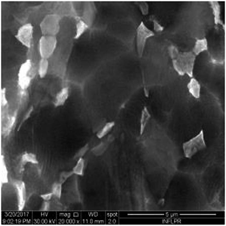 Figure 4
SEM image of sample S4 at a magnification of 20k×.