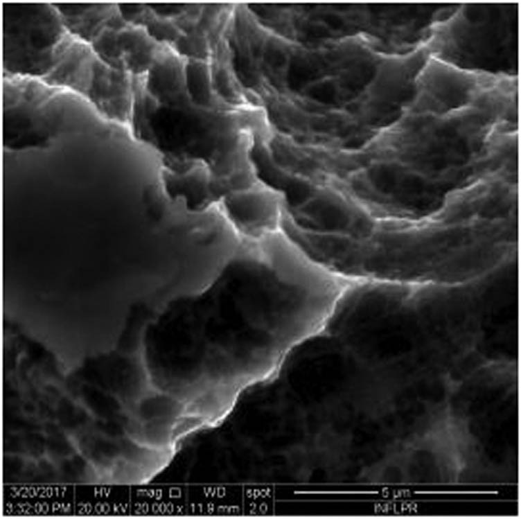 Figure 7
SEM image of sample S7 at a magnification of 20k×.