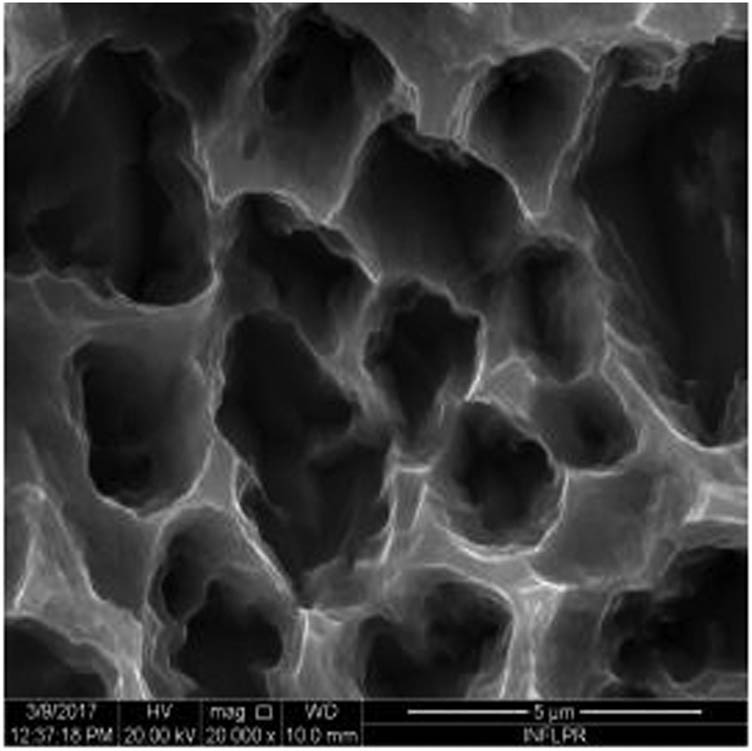 Figure 8
SEM image of sample S8 at a magnification of 20k×.