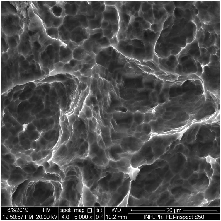Figure 10
SEM image of sample S10 at a magnification of 5k×.