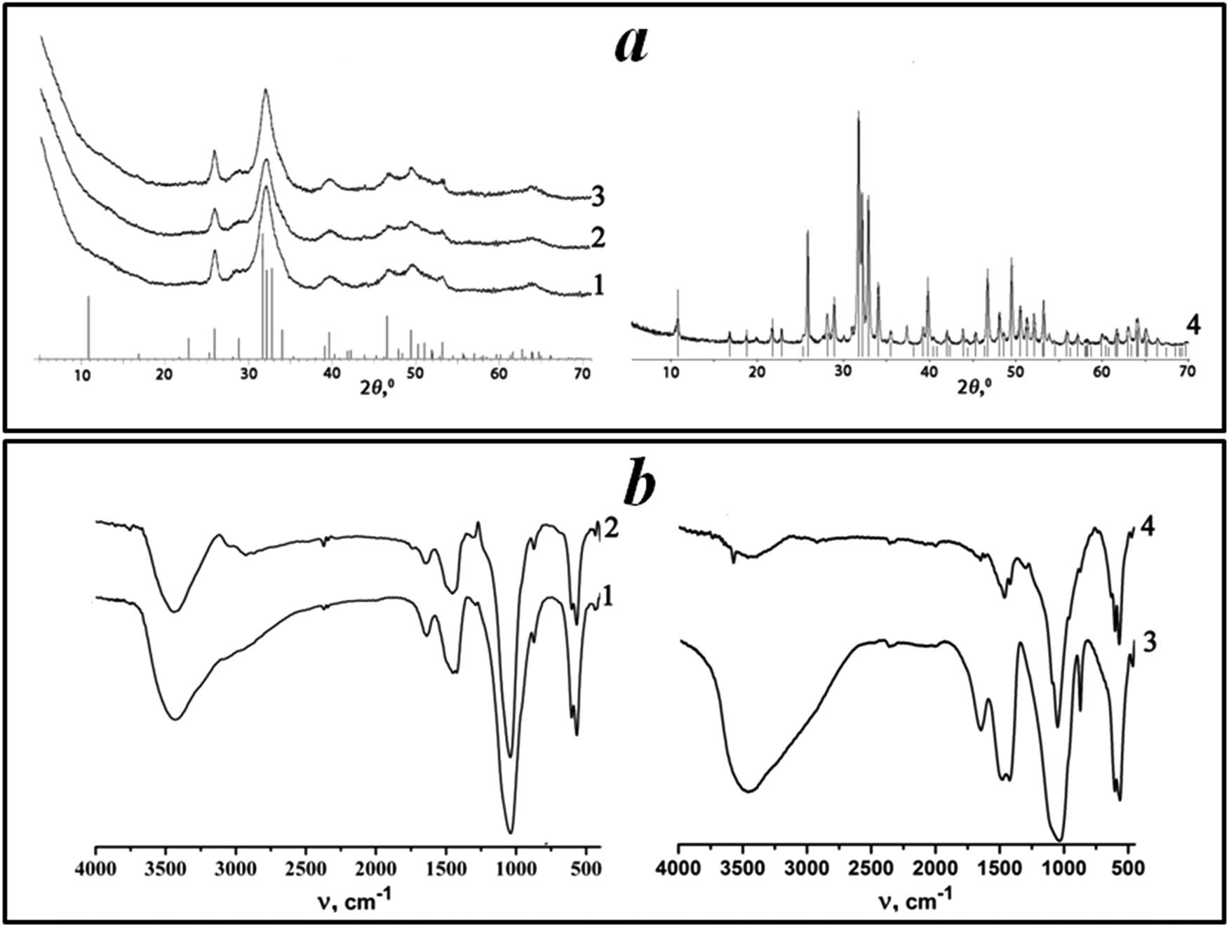 Figure 1
XRD patterns (a) and FTIR spectra (b) of the prepared samples: Na+, Zn2+,
CO
3
2
−
{\text{CO}}_{3}^{2-}
-HAP (curve 1), Na+, Cu2+,
CO
3
2
−
{\text{CO}}_{3}^{2-}
-HAP (curve 2) and Na+,
CO
3
2
−
{\text{CO}}_{3}^{2-}
-HAP (particle sizes of 25–50 nm – curve 3 and 300–500 nm – curve 4) (ICDD, Ca10(PO4)6(OH)2 #01-082-1943).