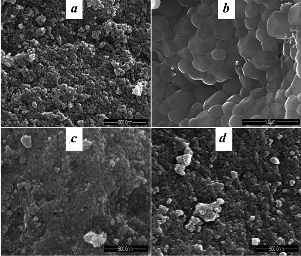 Figure 2
SEM images of the synthesized calcium phosphates: Na+,
CO
3
2
−
{\text{CO}}_{3}^{2-}
-HAP with particle size in the ranges: 25–50 nm (a) and 300–500 nm (b), Na+, Zn2+,
CO
3
2
−
{\text{CO}}_{3}^{2-}
-HAP (c), Na+, Cu2+,
CO
3
2
−
{\text{CO}}_{3}^{2-}
-HAP (d).