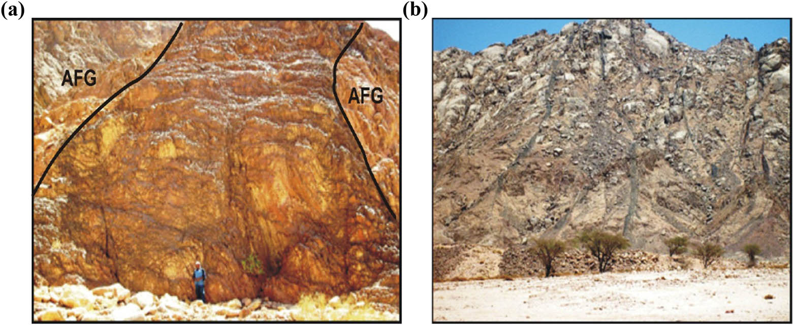 Figure 2
Field photographs showing (a) alkaline granophyre dike cutting alkali feldspar granite (AFG) at Wadi Abura; striking at ENE; and (b) dyke swarms of basalt cutting syenogranite at Wadi Geba; striking at N 65° E.