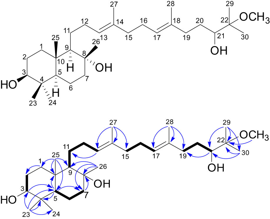 Figure 1
Structure, key 1H–1H COSY (▬) and HMBC correlations (H → C) of compound 1.