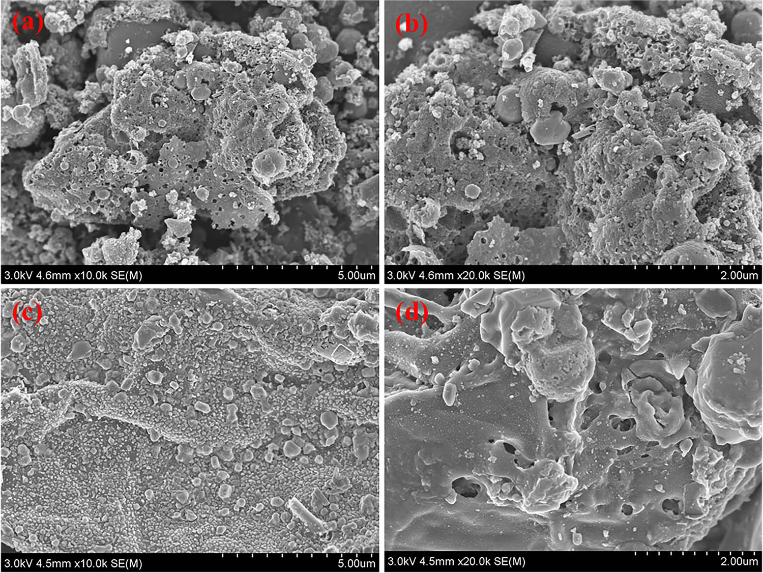 Figure 4 
                  (a and b) SEM of Biochar; (c and d) SEM of AF-biochar.
               