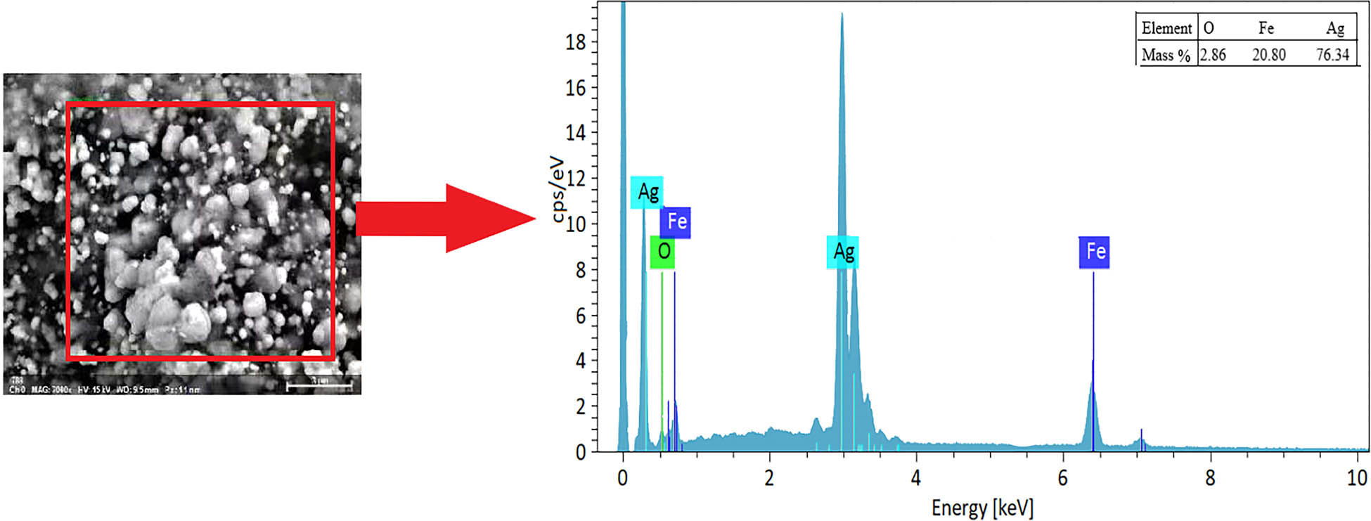 Microwave-assisted preparation of Ag/Fe magnetic biochar from clivia ...
