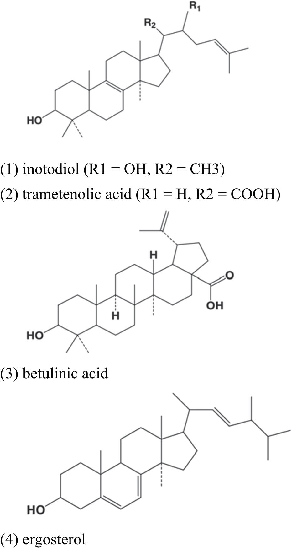 Figure 3 
                  The structures of compounds 1–4.
               