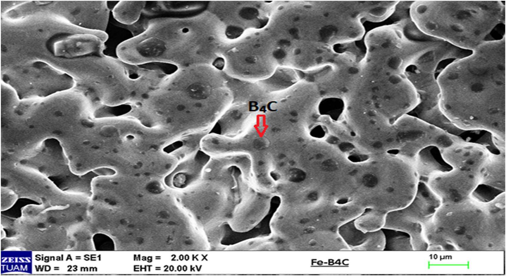 Figure 3
SEM picture of Fe–B4C composite.