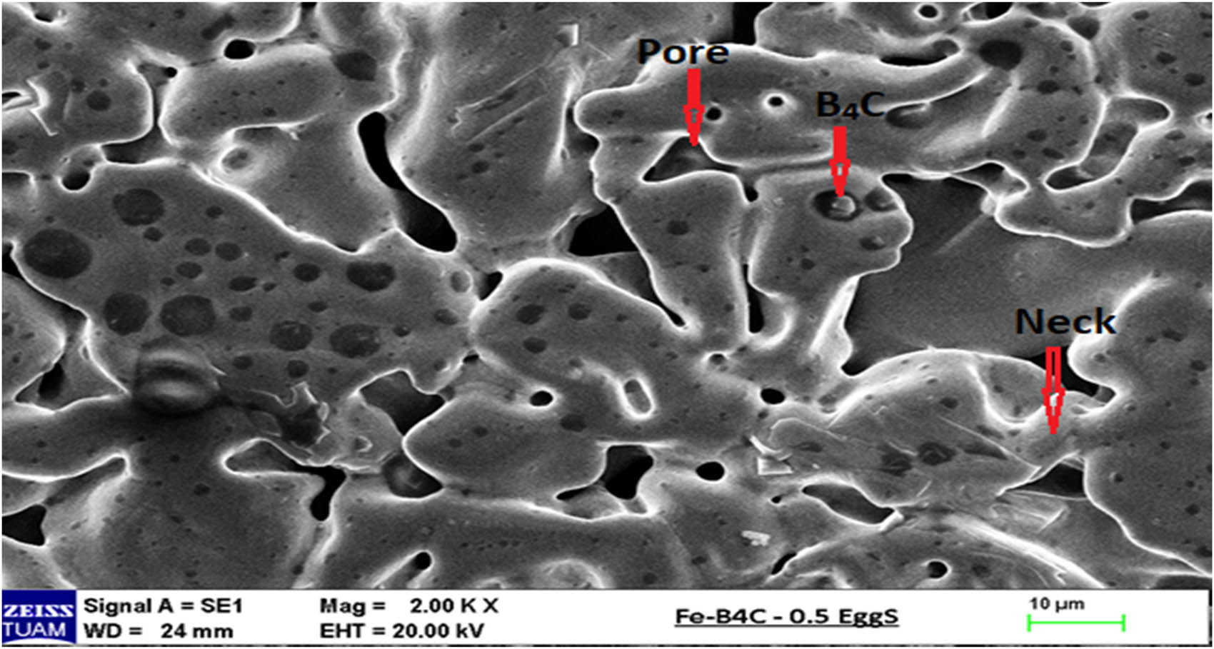 Figure 4
SEM picture of 96.66% Fe–1.66% B4C–1.66% egg shelter.