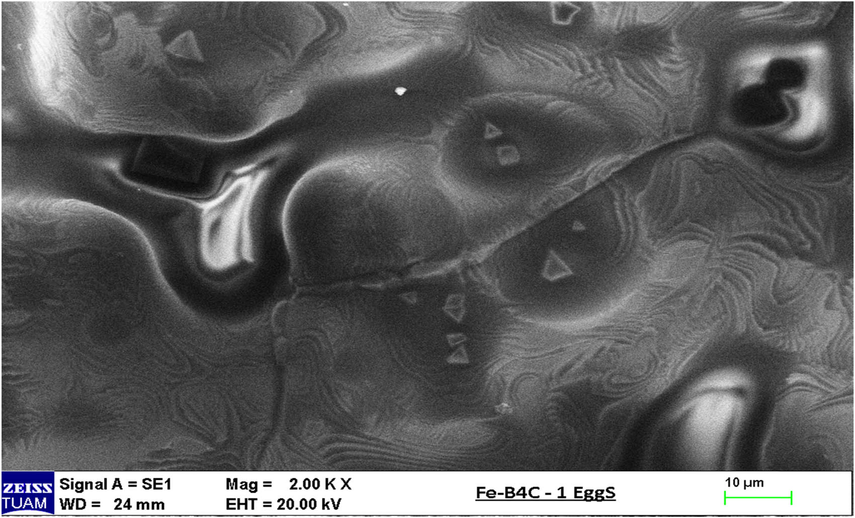 Figure 5
SEM picture of 95% Fe–1.66% B4C–3.32 egg shelter.