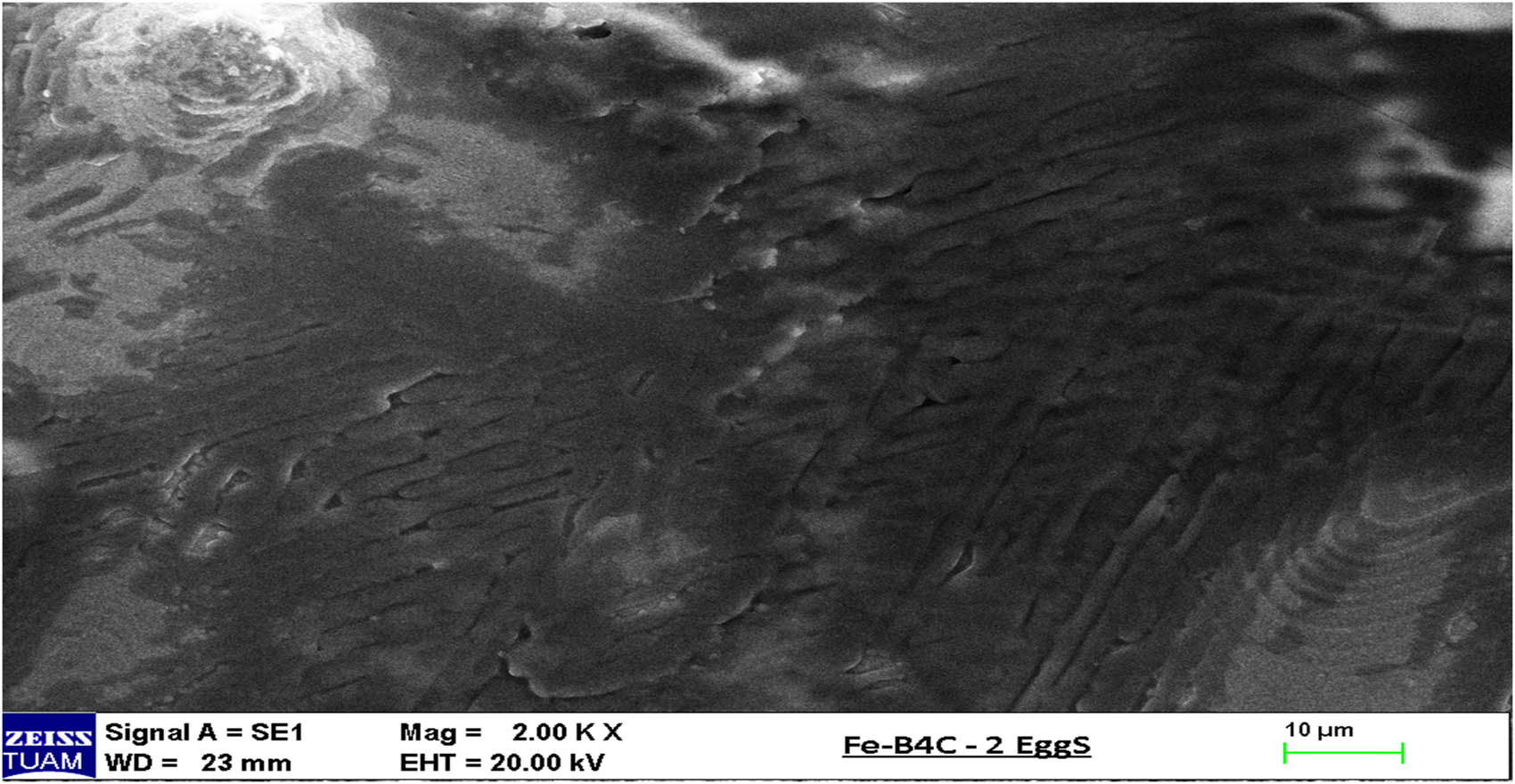Figure 7
SEM picture of 91.66% Fe–1.66% B4C–6.66% egg shelter.