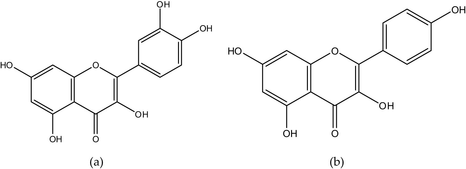 Figure 1 
                     Structure of (a) quercetin and (b) kaempferol.
                  