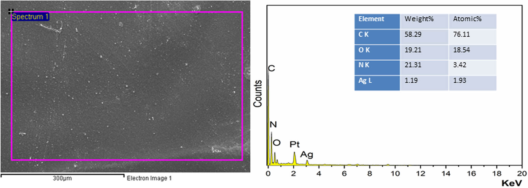 Figure 5 
                  SEM–EDX micrograph of ROHA/SNP nanocomposite coating.
               
