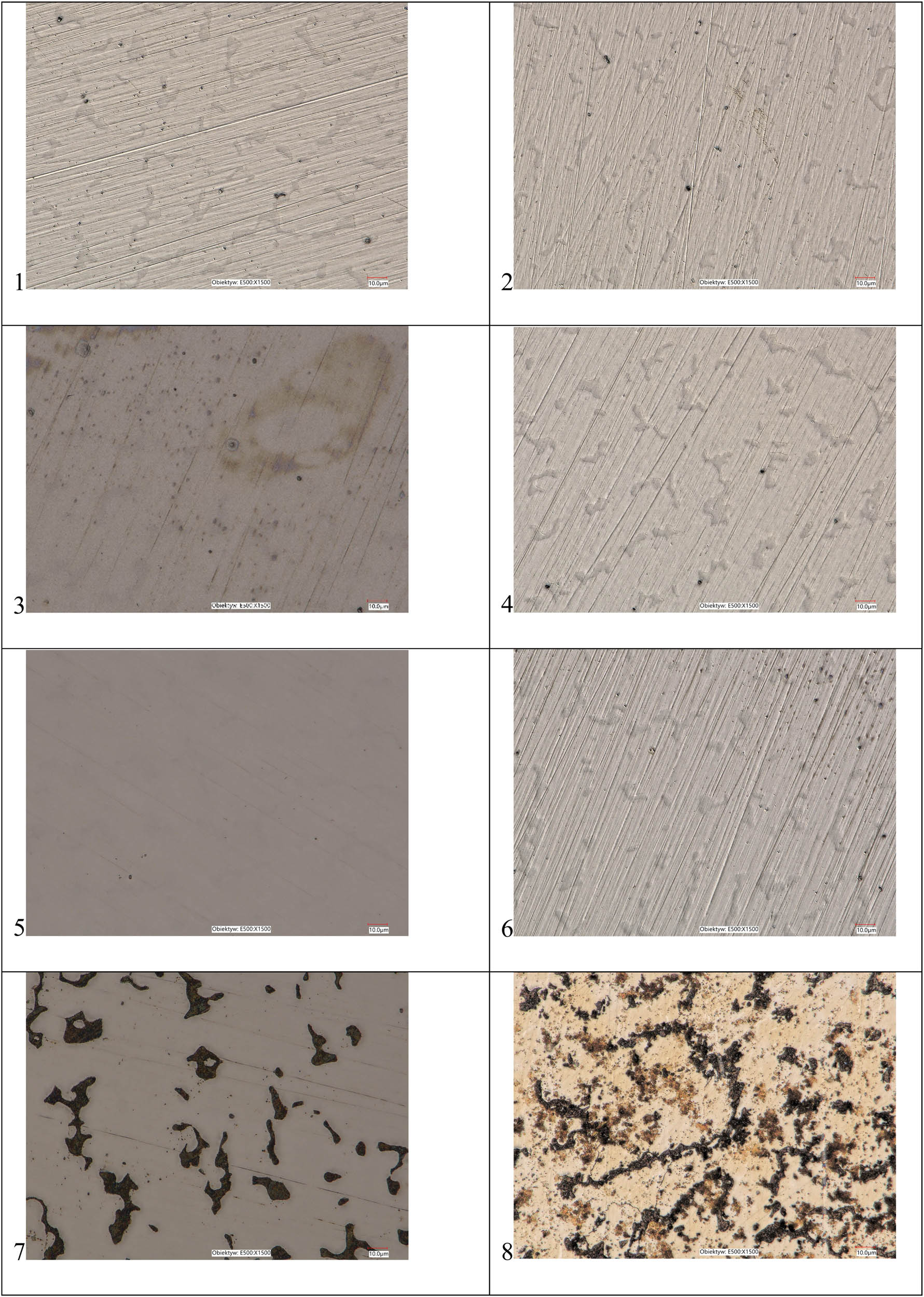 Figure 1
Digital microscopy images of Co–Cr alloy after storage: (1) dry, (2) in water, (3) 20% sodium percarbonate, (4) 20% chlorhexidine digluconate, (5) Corega Tabs Bio Formula, (6) 20% citric acid, (7) 0.5% NaOCl, and (8) 5.0% NaOCl. Magnification 1,500×.