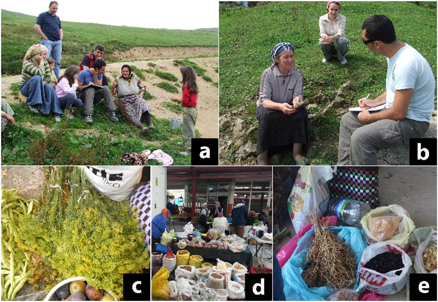 Figure 2 
                  Interviews with local people (a, b), samples of herbal drogs sold by locals (c–e).
               