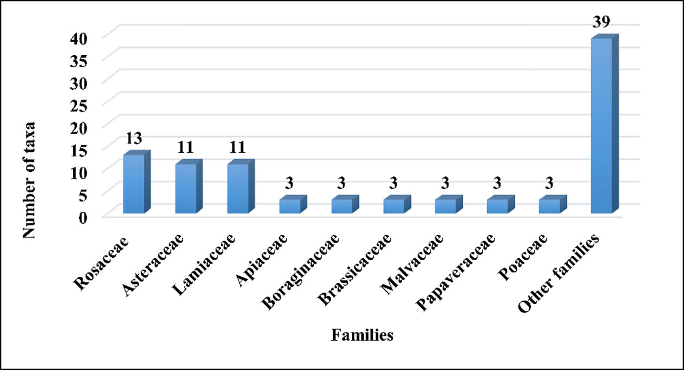 Figure 3 
                  The most-cited plant families.
               