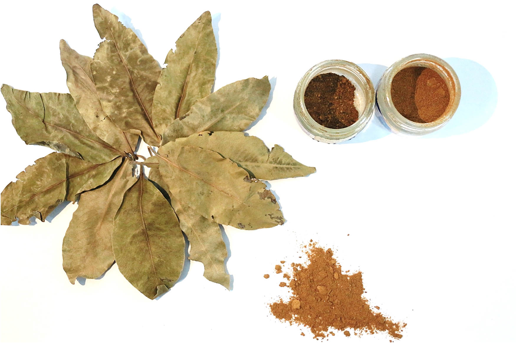 Figure 4
Appearance of Annona muricata extract along with the leaves.