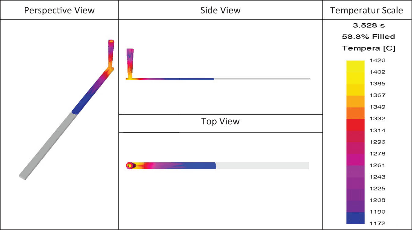 Figure 2 
                  Sample image taken from FlowCast filling modeling software.
               