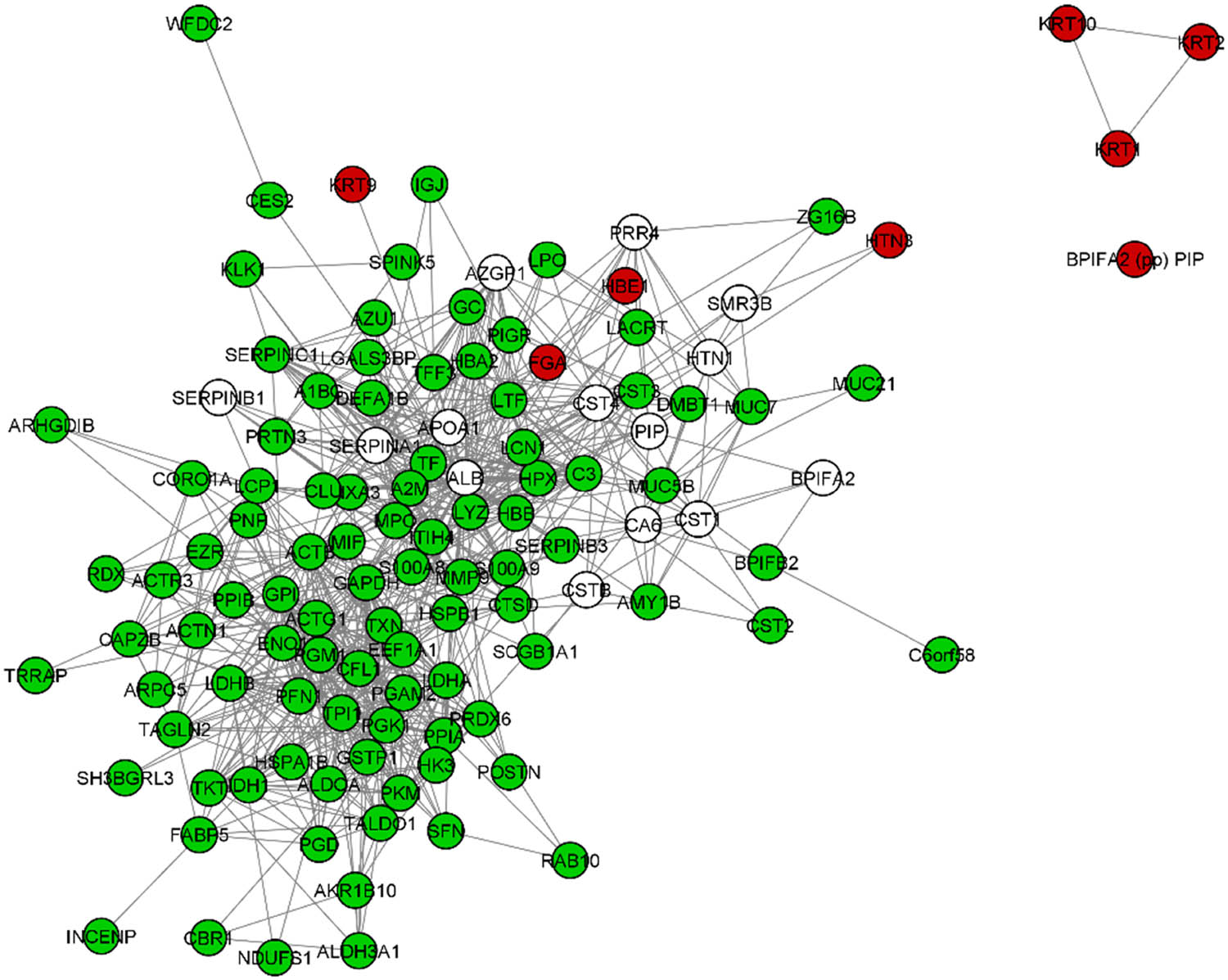 Figure 2
DyNet visualization of assembly gene/protein networks identified by in-solution digestion strategies: only protocol B ‒ green circles, only protocol G ‒ red circles, and both samples ‒ white circles.