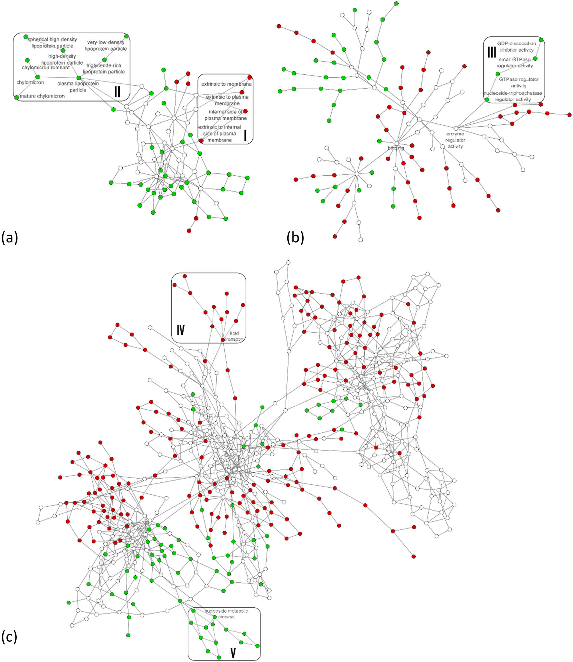 Figure 5
The hierarchical DyNet networks of GO categories: (a) GO cell component, (b) GO molecular function, and (c) GO biological process. Green circles – GO categories identified only by FASP protocol D1 (Microcon), red circles – GO categories identified only by FASP protocol C (Amicon), and white circles – GO categories identified in both samples.