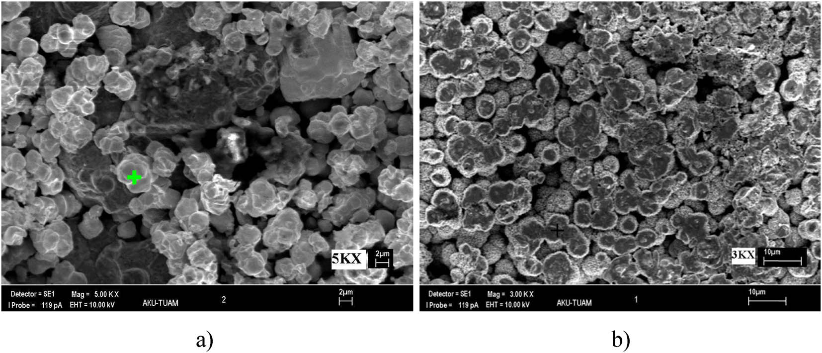 Figure 1
SEM pictures before and after coating. (a) SEM of uncoated powders and (b) SEM of coated powders.