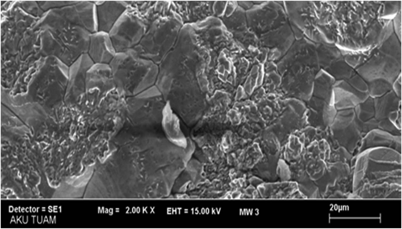 Figure 9
SEM micrographs of 25% Ni-coated Fe–37.5% 5Co, Mag. 2k×.