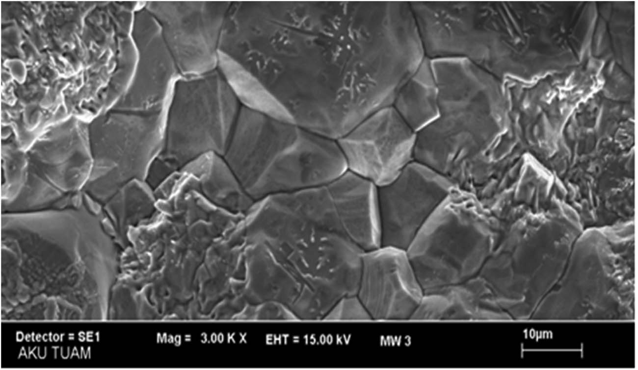 Figure 10
SEM micrographs of 25% Ni-coated Fe–37.5% Co, Mag. 3k×.