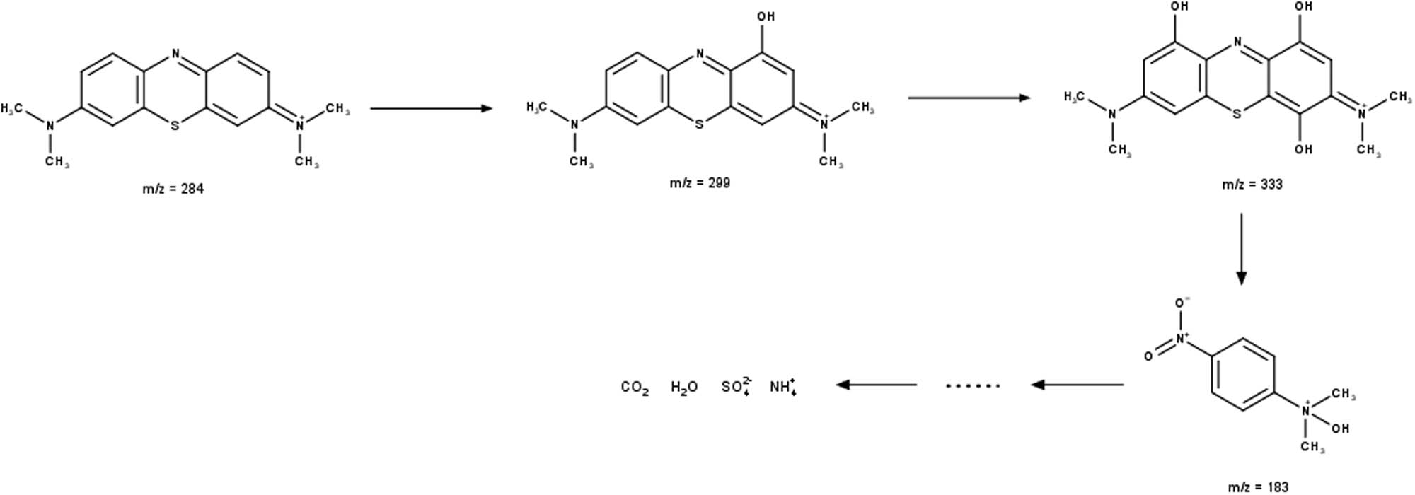 Scheme 1 
                     Degradation of MB by ferrate.
                  