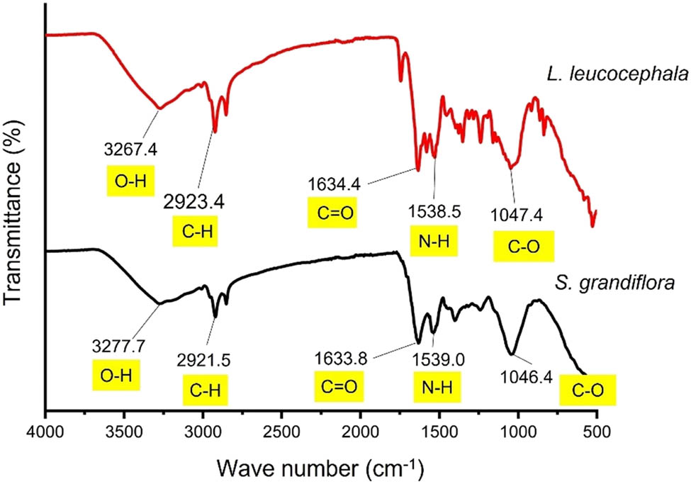 Figure 1 
                  FT-IR peaks of active groups in the L. leucocephala and S. grandiflora seeds.
               