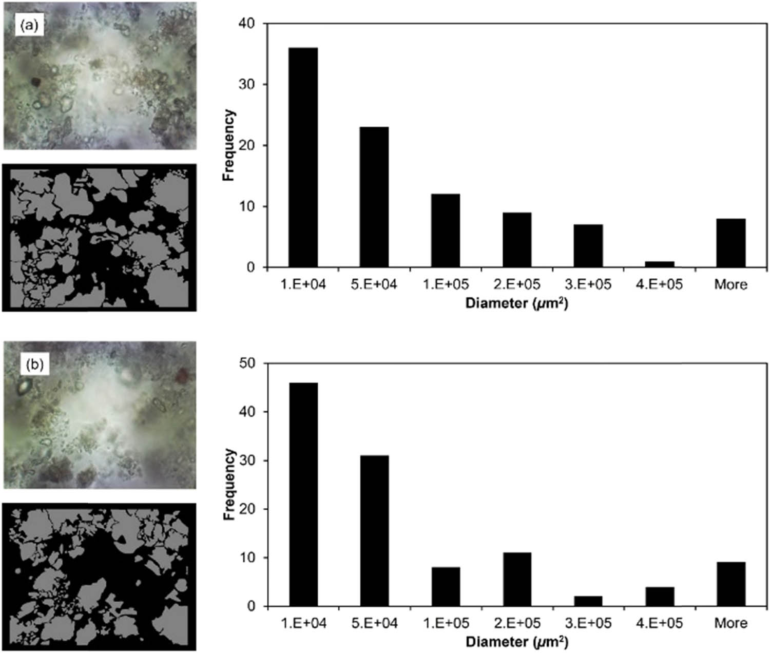 Figure 7 
                  Effect of pH on floc formation in the coagulation process by L. leucocephala. Floc diameter was captured by photo microscope and analysis with free ImageJ software. Distribution of floc diameter without pH control (a) and with pH 5 (b).
               