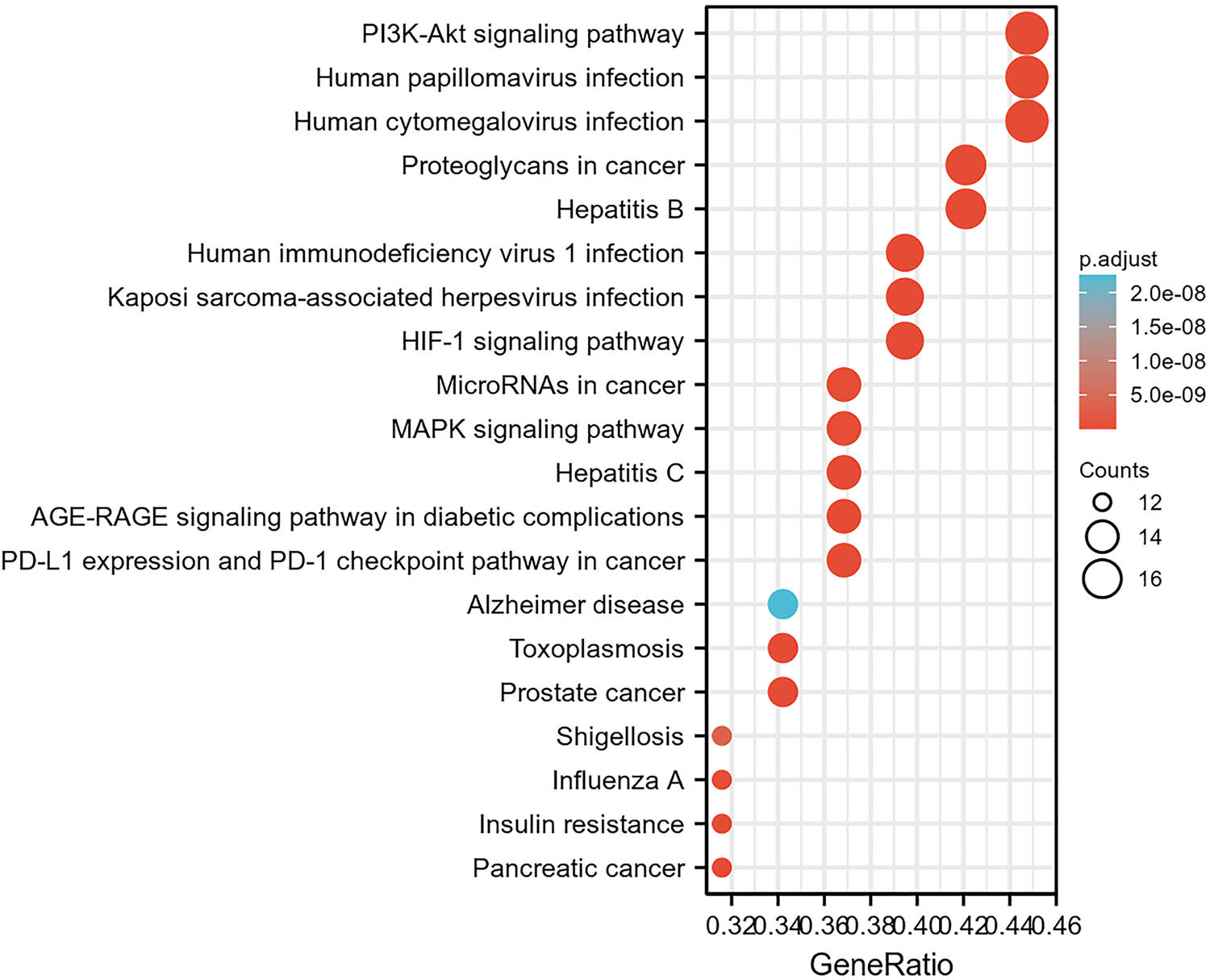 Figure 6 
                  KEGG enrichment results. Gene ratio and pathways are represented by the x-axis and y-axis, respectively. The size and color of the dots mean the gene counts and the value of p adjust, respectively.
               