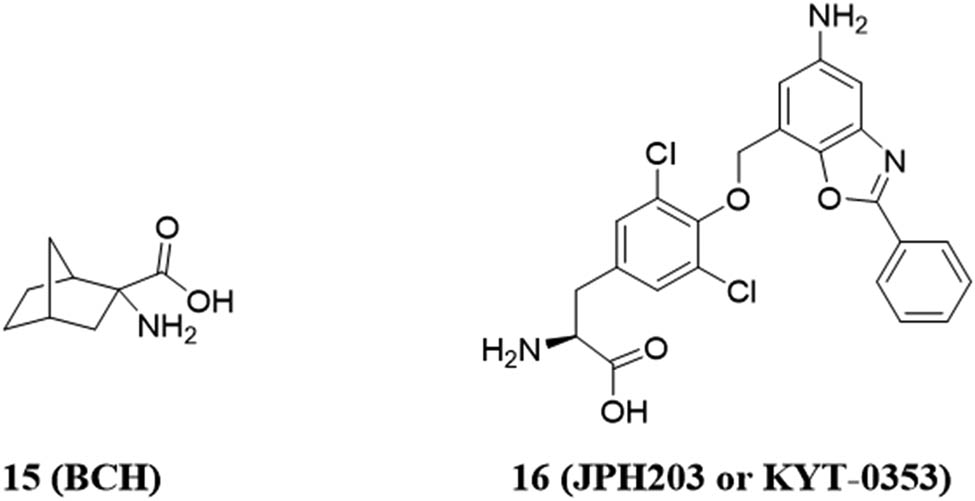 Figure 8 
                     Chemical structures of inhibitor 15 (BCH) and inhibitor 16 (JPH 203).
                  