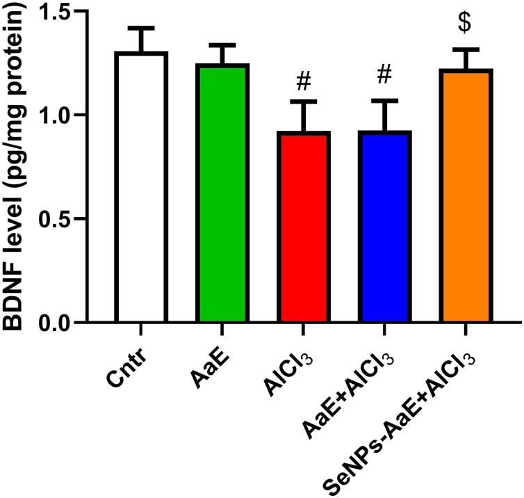 Figure 6
Effect of treatment with A. atroviolaceum-synthesized SeNPs on BDNF level in mice exposed to AlCl3. Data are represented as mean + SD. #
P < 0.05, as compared to control mice; $
P < 0.05, as compared to AlCl3-treated mice. AlCl3: aluminum chloride; SeNPs-AaE: selenium nanoparticles green synthesized using A. atroviolaceum.