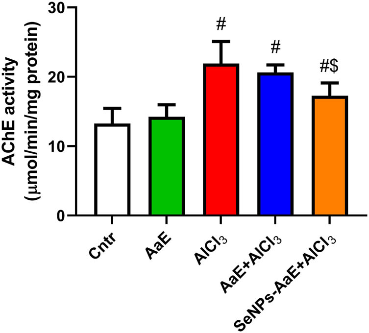 Figure 7
Effect of treatment with A. atroviolaceum-synthesized SeNPs on AChE activity in mice exposed to AlCl3. Data are represented as mean + SD. #
P < 0.05, as compared to control mice; $
P < 0.05, as compared to AlCl3-treated mice. AlCl3: Aluminum chloride; SeNPs-AaE: Selenium nanoparticles green synthesized using A. atroviolaceum.