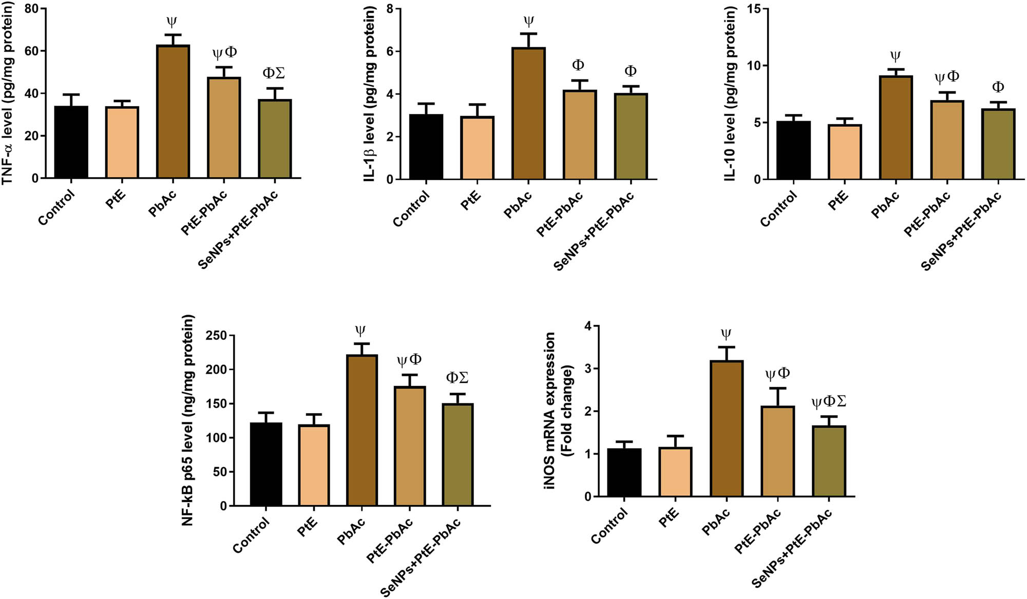 Figure 5 
                  Effects of orally administered PtE or PtE-SeNPs on the levels of neuroinflammatory biomarkers (IL-1β, TNF-α, IL-6, and NF-κB) and the mRNA expression levels of Nos2 in the brain of PbAc-injected rats. ψ,Φ,Σ superscript letters indicate statistical significance at P < 0.05 against control, PbAc, and PtE-PbAc group, respectively. All results are presented as the mean + SD.
               