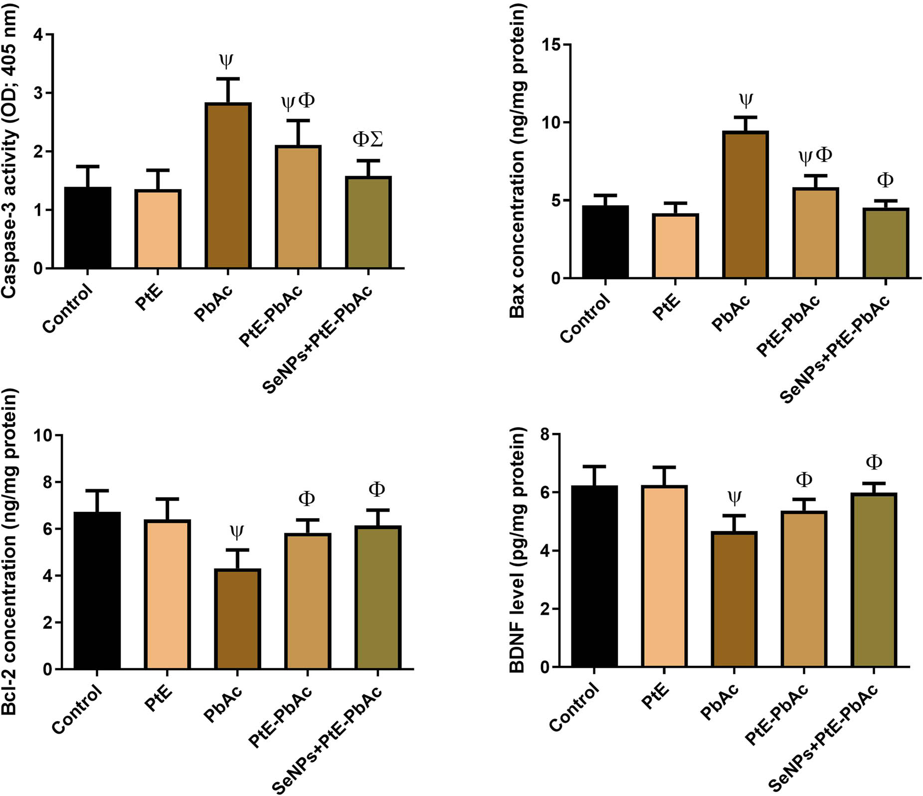 Figure 6 
                  Effects of orally administered PtE or PtE-SeNPs on the levels of neural apoptotic markers (Bax, Cas-3, Bcl-2, and BDNF) in the brain of PbAc-injected rats. ψ,Φ,Σ superscript letters indicate statistical significance at P < 0.05 against control, PbAc, and PtE-PbAc group, respectively. All results are presented as the mean + SD.
               