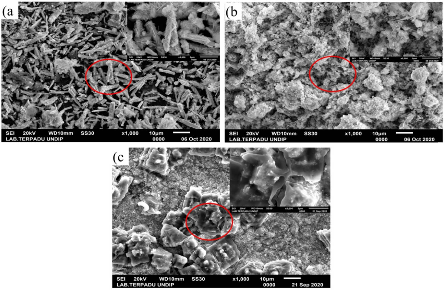Figure 4
SEM images of Bi/AC composites prepared with (a) 8 mmol, (b) 24 mmol, and (c) 32 mmol BNP.