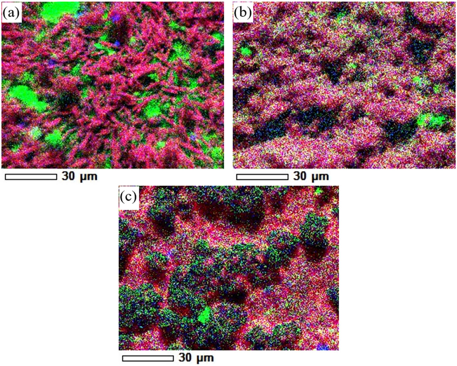 Figure 5
SEM mappings of Bi/AC composites prepared with (a) 8 mmol, (b) 24 mmol, and (c) 32 mmol BNP.