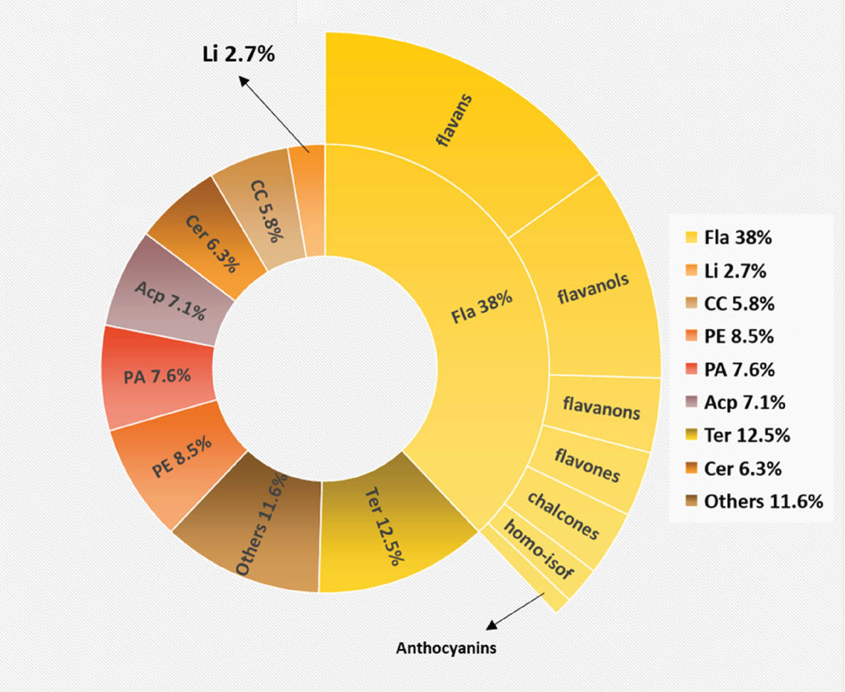 Teaser image from the article