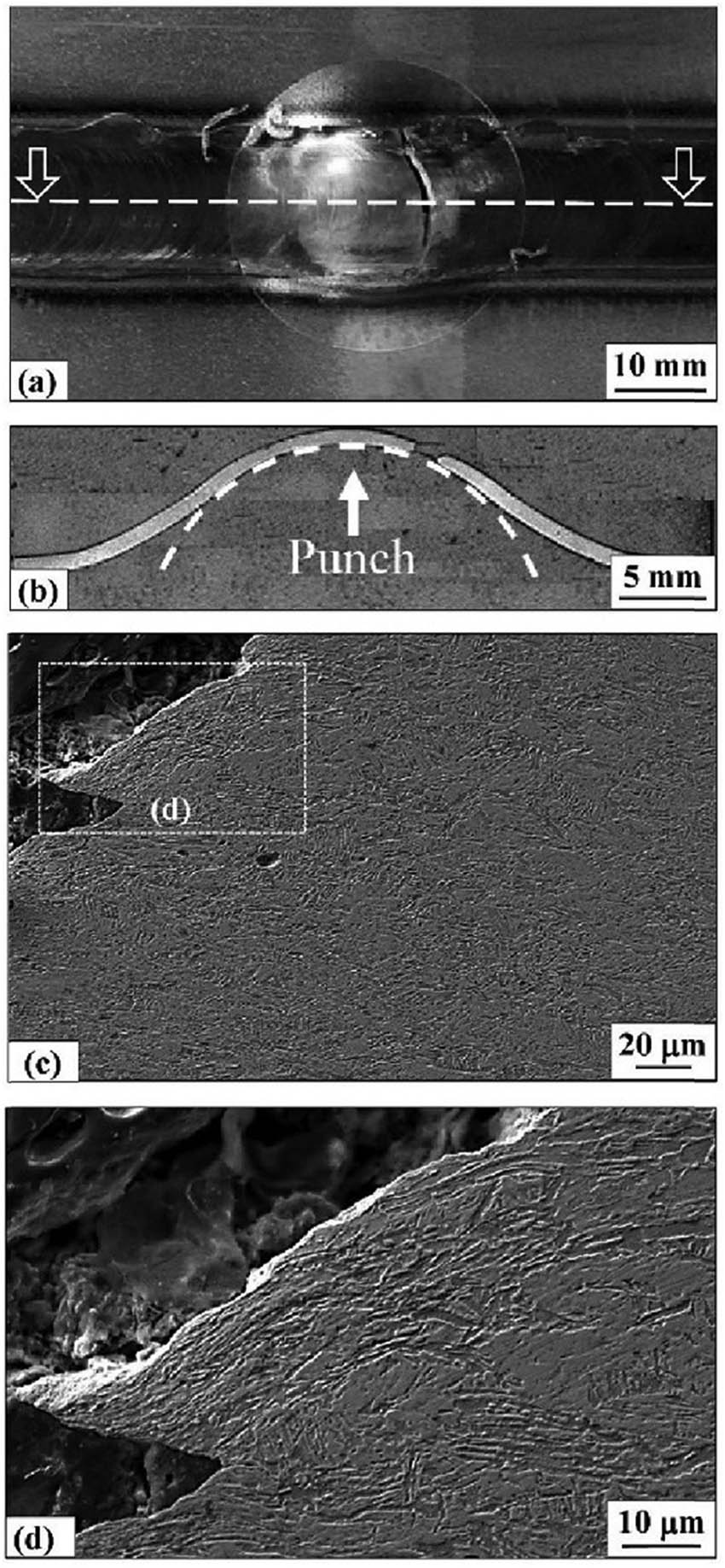 Figure 6
(a) Top macro-view, (b) cross-sectional macro-view, and (c) and (d) fracture zone microstructure of the FSPed cupping test specimen.