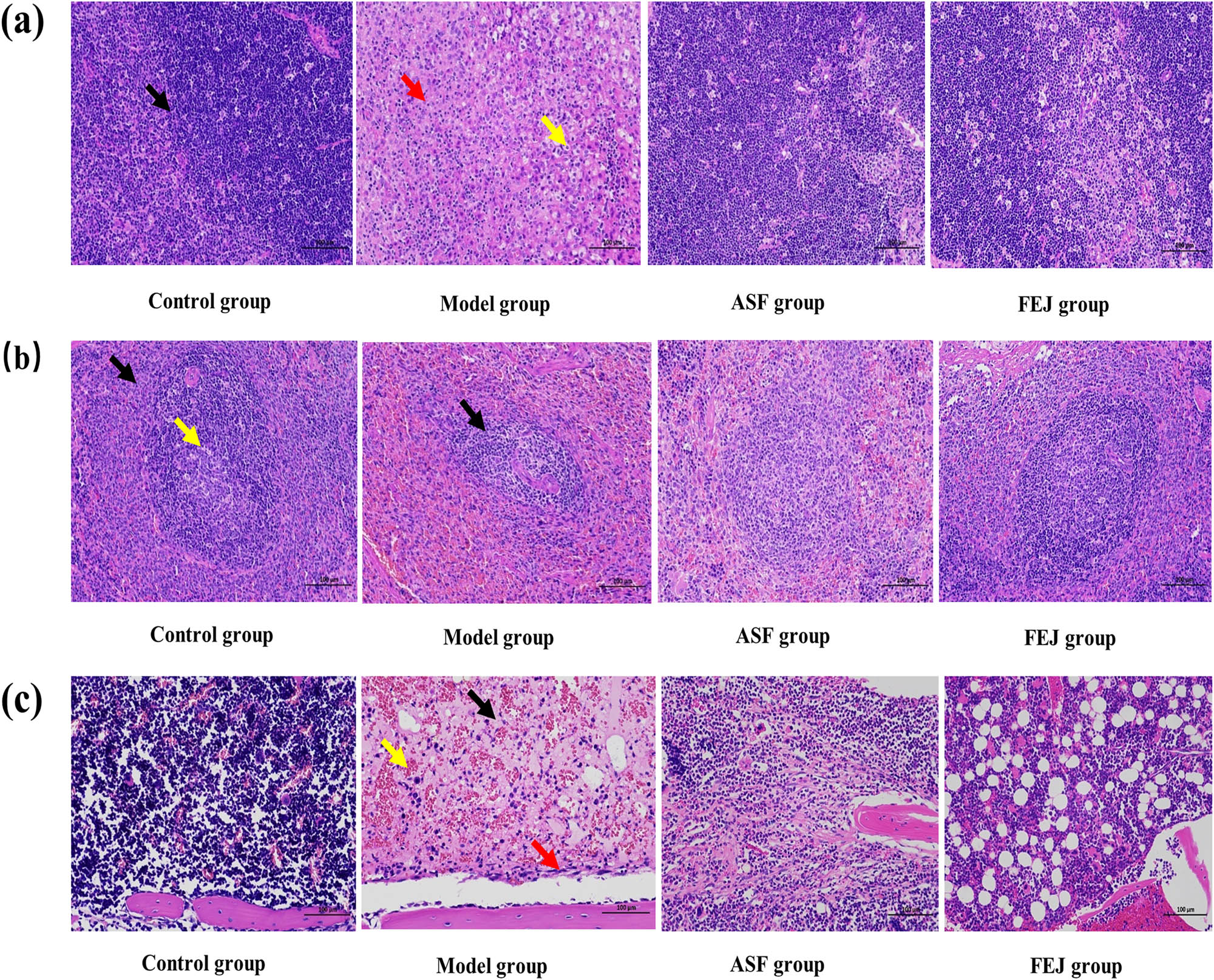 Teaser image from the article