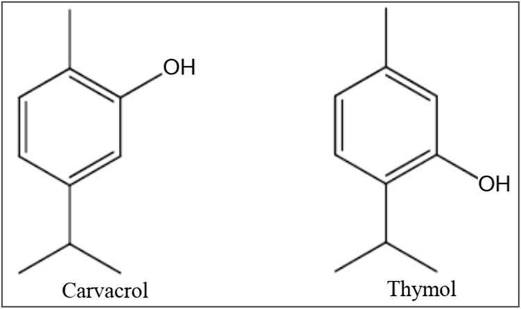 Teaser image from the article