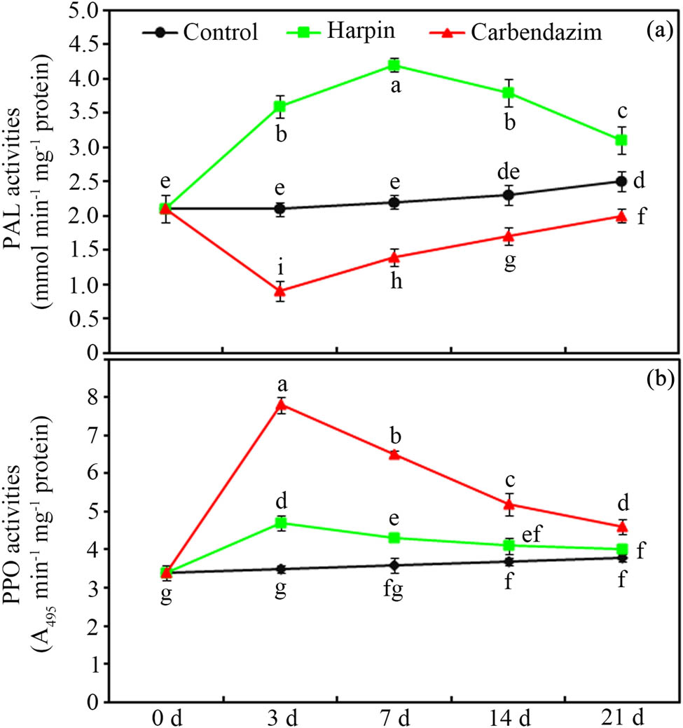 Teaser image from the article
