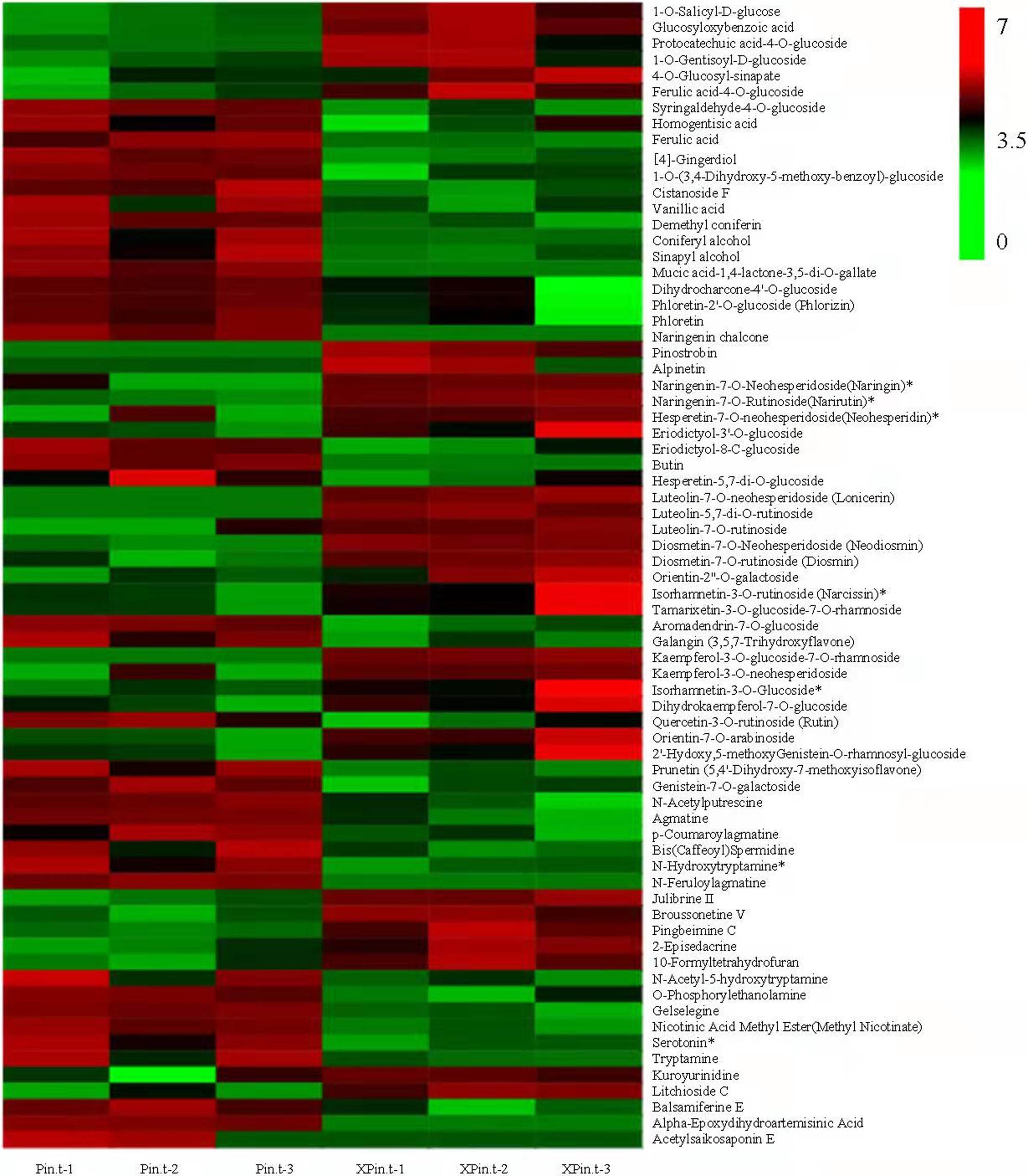 Figure 5 
                  The heatmap depicting the main differentially accumulated secondary metabolites between Pin.t and XPin.t.
               