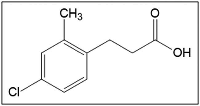 Teaser image from the article