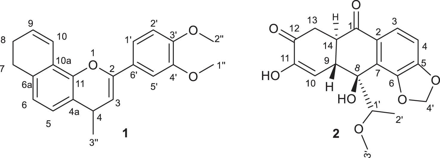 Teaser image from the article