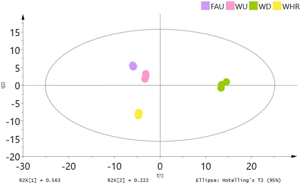 Figure 7
PCA score plots of M. nigra leaf samples using different extraction methods.