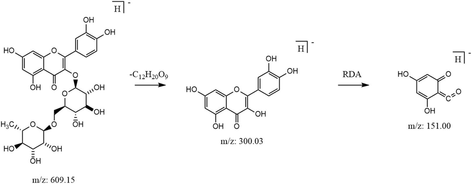 Figure 10
Possible cleavage pathways for rutin.