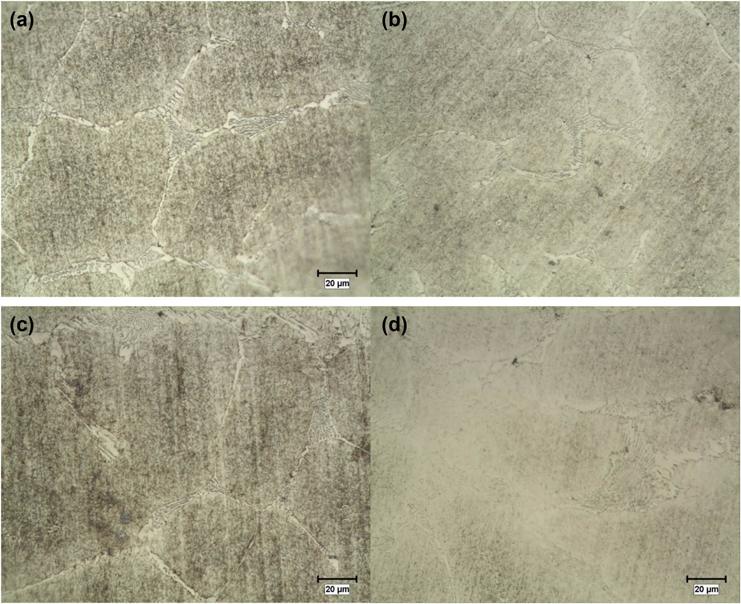 Figure 4 
                  Optical microscope images of samples produced by casting: (a) untreated, (b) T1, (c) T2, and (d) T3.
               