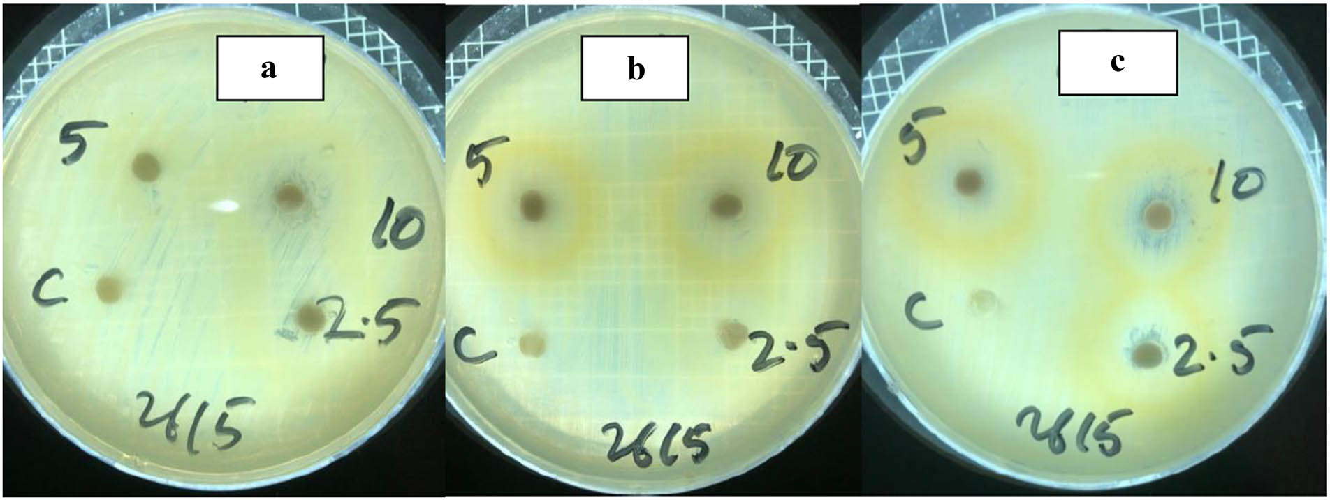 Teaser image from the article
